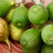 Close-up of fresh and shrivelled figs illustrating diminished ovarian reserve